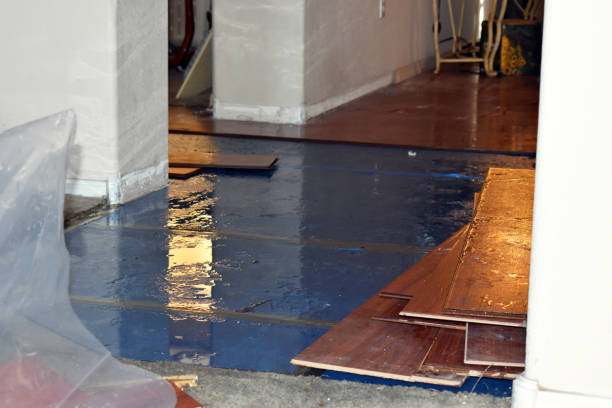 Professional Basement Flood Cleanup technician working in Belle Glade, FL